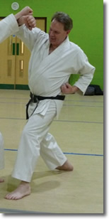 sensei Seamus Audoire